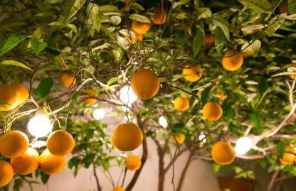 Diamante Beachfront Suites - Foto 78