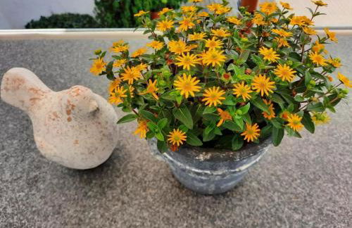 kleines Landhaus Bodensee - Foto 25