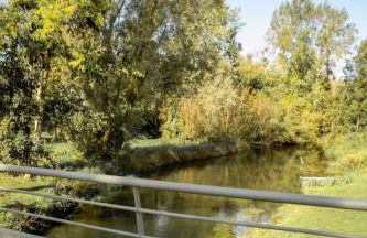 La Cabane de Camille - Foto 13