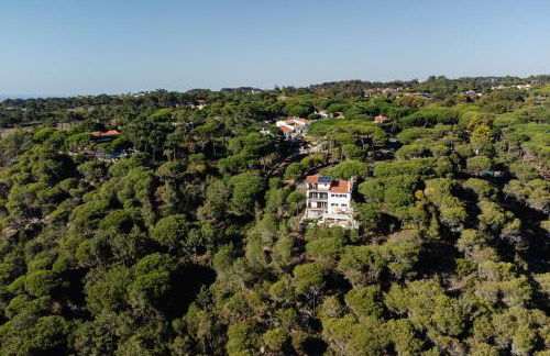 Casa do Magoito - Photo 78