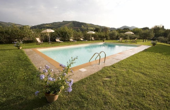 Verdidea - Ovello - Foto 29