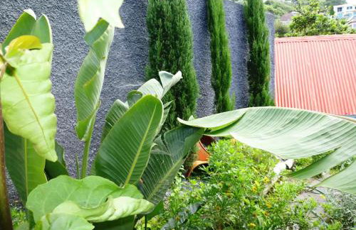 Holiday Home in Porto da Cruz With Garden - Foto 41