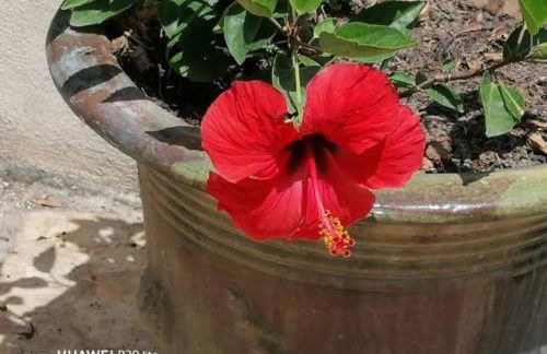 Studio dans villa proche de la plage - Foto 6