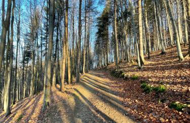 Apartamenty Carpe Diem - Photo 44