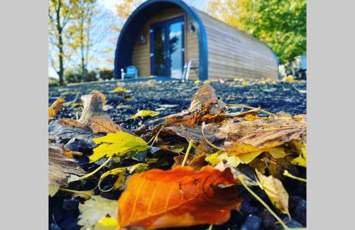 Glampods Glamping Pod - meet Highland Cows and Sheep Elgin - Foto 31