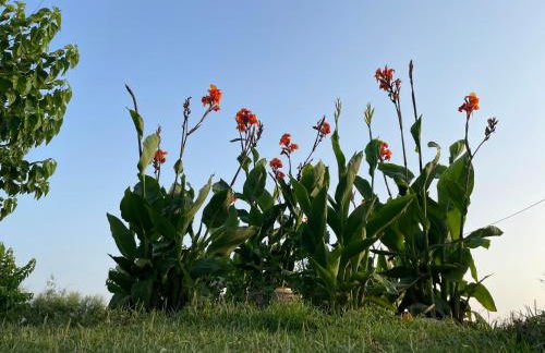 Sea Side View - Foto 19