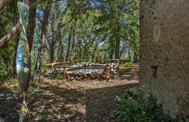 Poggio Roseto - Foto 74