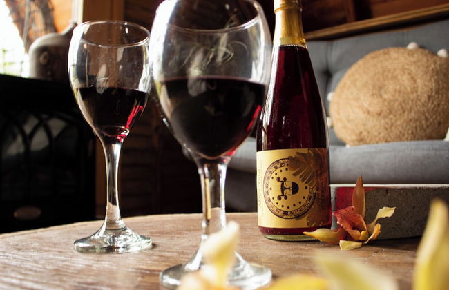 Wasikuna cabañas rurales tipo glamping - Foto 47