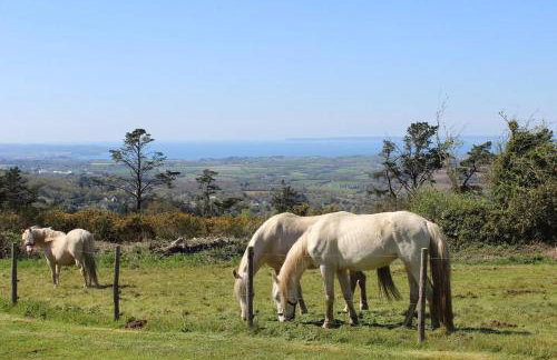 Studio vue magique proche Locronan - Foto 11