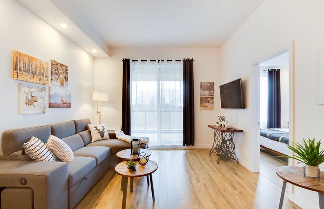 L'île d'O - Foto 49