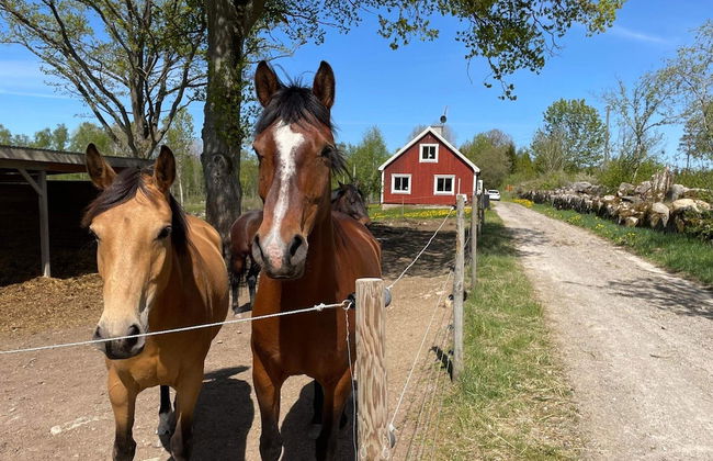 6 Person Holiday Home in Tingsryd-by Traum - Foto 30