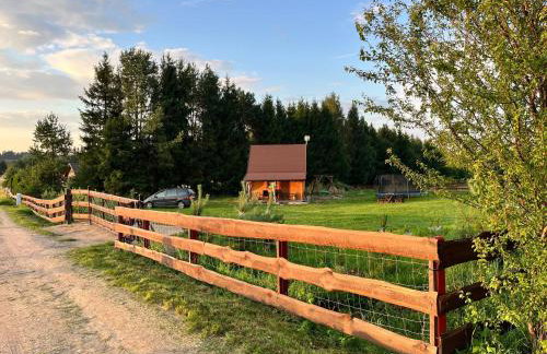 Święty spokój - Foto 26