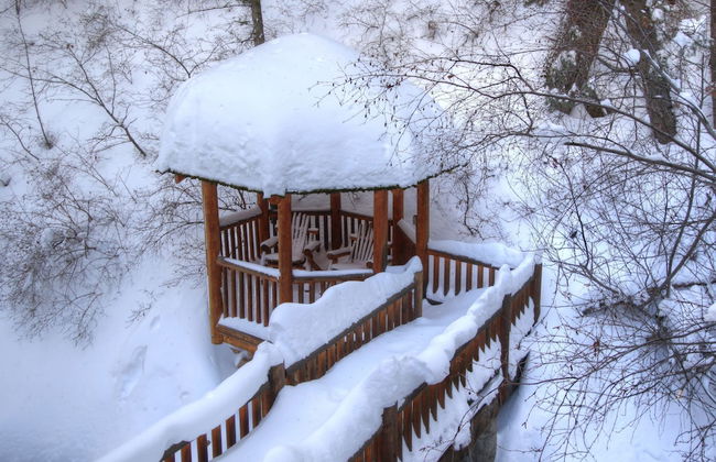 Log Cabin on the Stream - Photo 29