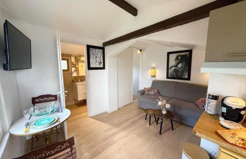 Small Provencal Castle with Swimming Pool, Tennis, Gym & Calm - Foto 68