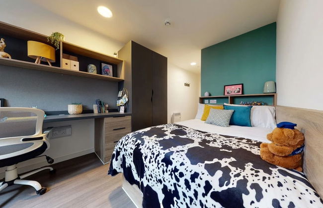 Student Only Canvas Walthamstow in London - Foto 10