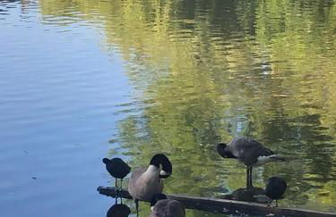 PARIS et CDG - Foto 9