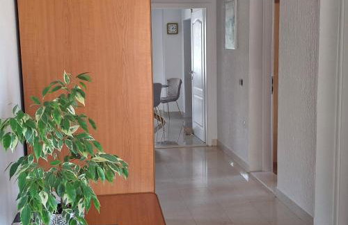 Panoramico apartment, private jacuzzi - Foto 40