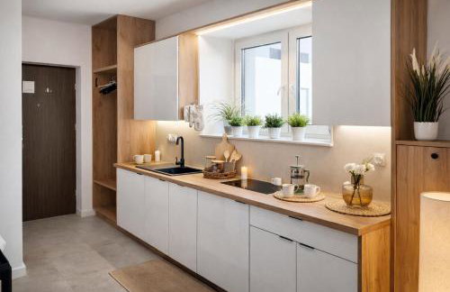 Willa Sowia nowy apartament z prywatnym tarasem i widokiem na góry - Foto 7