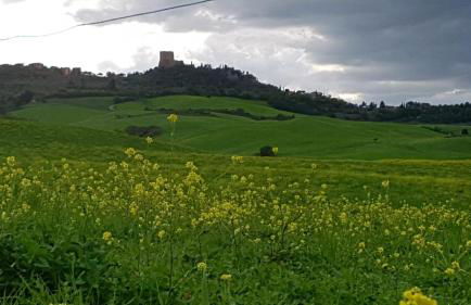 La Casa del susino - Foto 1