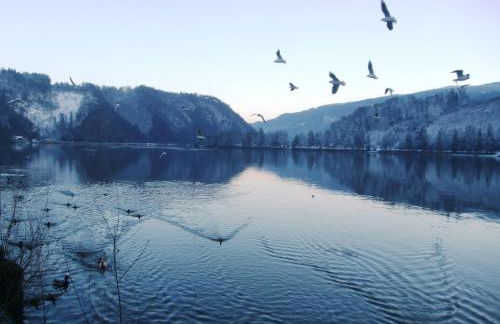 Ferienwohnung Örtl 7 - Foto 45