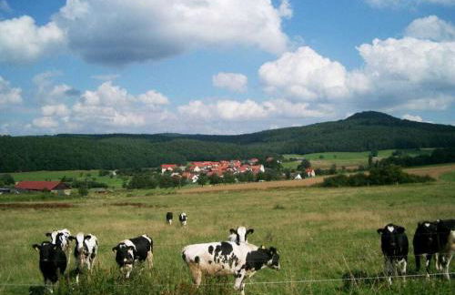 Holiday home Bauernhauschen in the Rhon - Foto 17