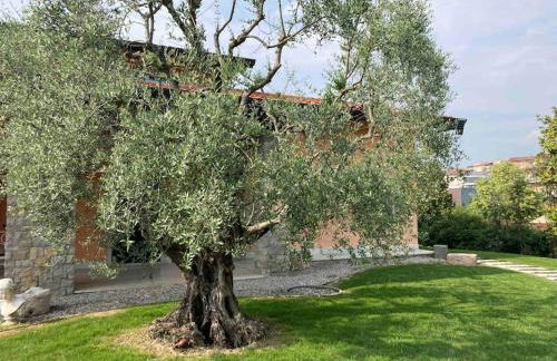 Appartamento San Lorenzo - Foto 36