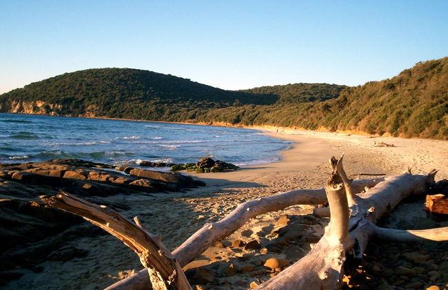 Follonica Apartments - Photo 69