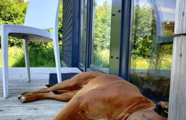 Dom Szumią Wierzby - Foto 48