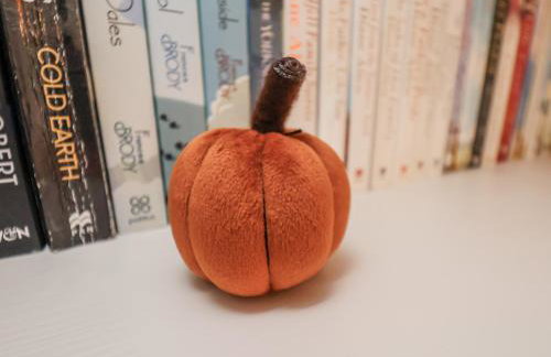 Starlight Cottage - Foto 16