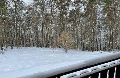 Seepark Kirchheim Ferienhaus bei Anne mit Sauna - Photo 24