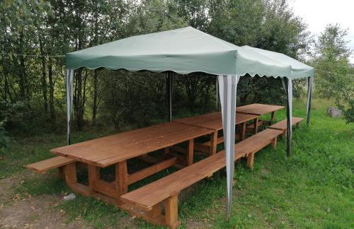 Mazurska Knieja - Foto 46