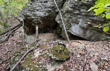 Caribou Cabin at Thunder Bluff - Foto 29