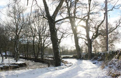 The Engine Room - Photo 50