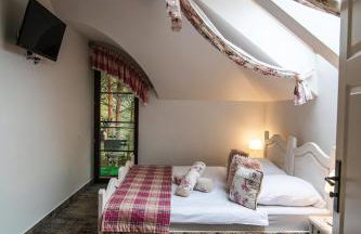 Modra Sikorka - Foto 15