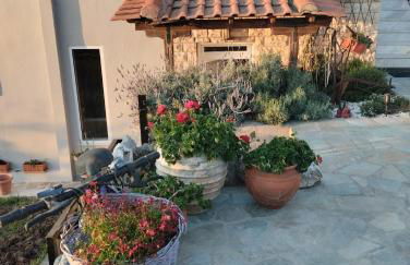 Lena's Family Home - Foto 45