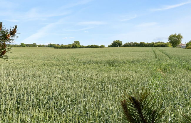 "Veljan" - 400m from the sea - Foto 8