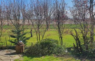 Ferienwohnung Möwennest - Photo 19