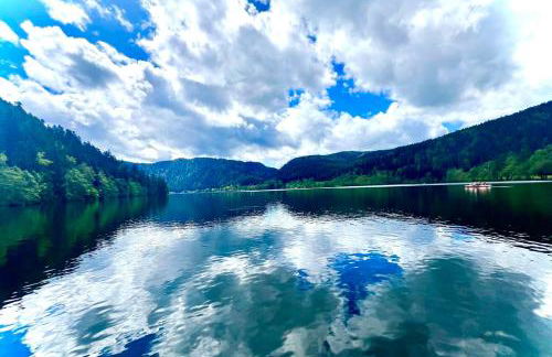 BEAUTIFUL CHALET in nature near Gerardmer! - Foto 27