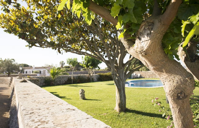 Agroturismo Llucmaçanes Gran - Foto 32