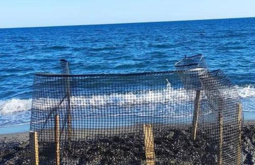 Achinos *1, Seaside, between Ierapetra & Myrtos ! - Foto 39