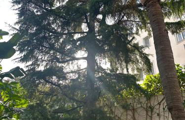 luxury house airport - Foto 37