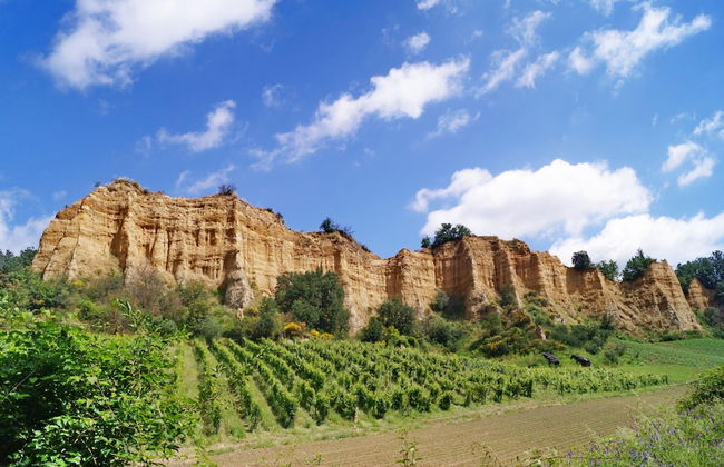 Palagio 12 in Chianti With Shared Pool - Foto 12