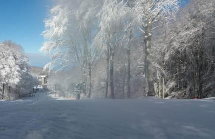 Annina house - Foto 39