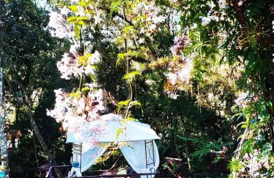 Chalé Temático em Pipa de Vinho - Parada da Pipa Chalés - Foto 40