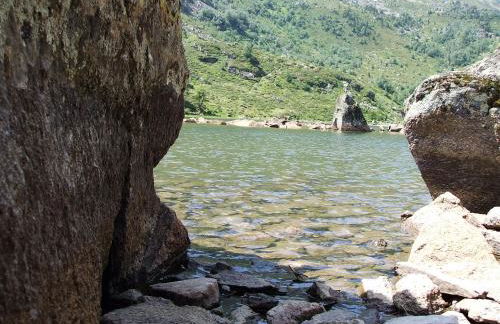 Les FEICHES et MARGUERITES - Foto 24