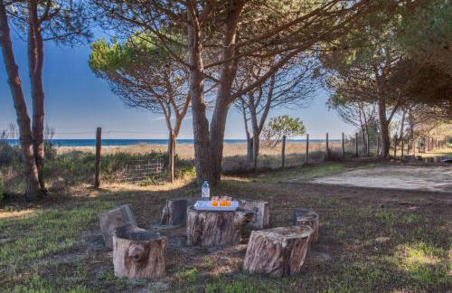 MAISONS BORD DE MER- MARINE DE SORBO - Gîtes 3 épis - Foto 52