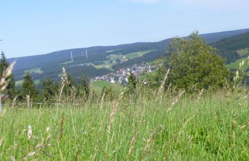 Lush Apartment in Furtwangen near Black Forest with Balcony - Foto 40