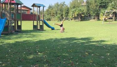 Villa Olga Lago Maggiore - Foto 4