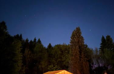 Historische Mühle am Schloss - Foto 51