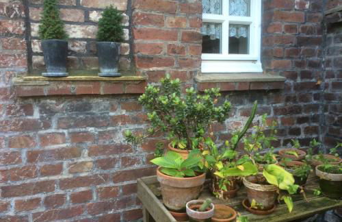 Ferienwohnung Haumannshof - Foto 19